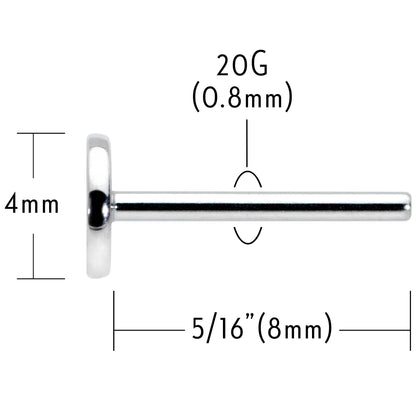 20G 5/16 G23 Titanium Threadless Post Only Labret Tragus Nose