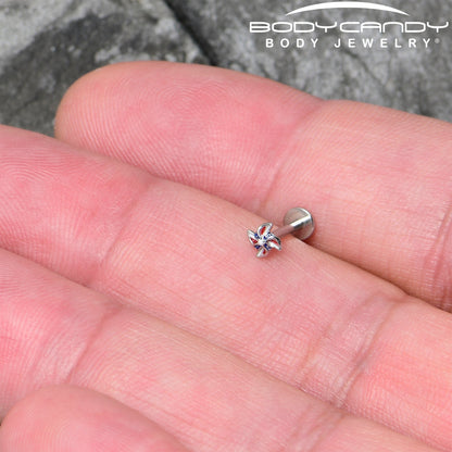 16G 5/16 Patriotic Pinwheel Labret Monroe Tragus