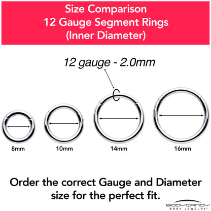 12G 3/8 316L Surgical Steel Precision Hinged Segment Hoop