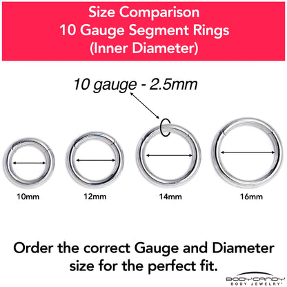 10G 5/8 316L Surgical Steel Precision Hinged Segment Hoop