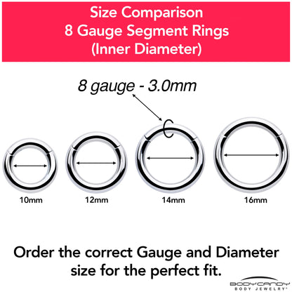 8G 5/8 316L Surgical Steel Precision Hinged Segment Hoop